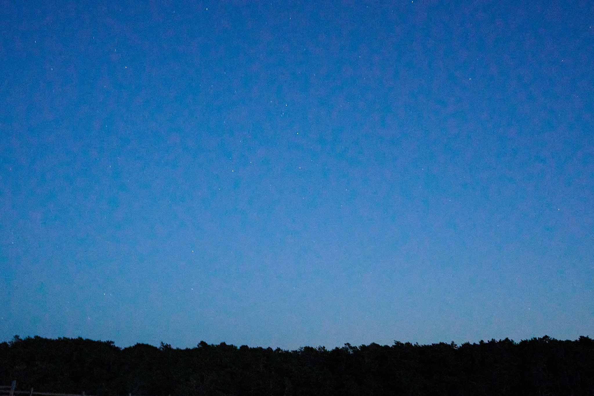 A night sky full of grain, the shot was handheld in low light